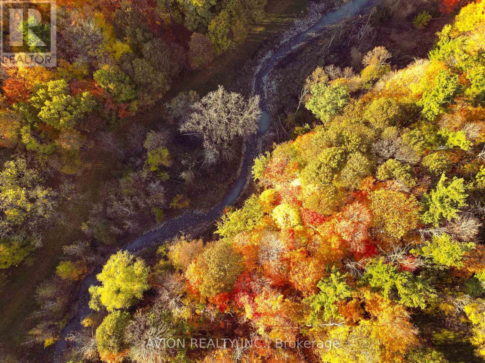 38 Purdon Drive, Toronto, Ontario  M3H 4X1 - Photo 9 - C12423540