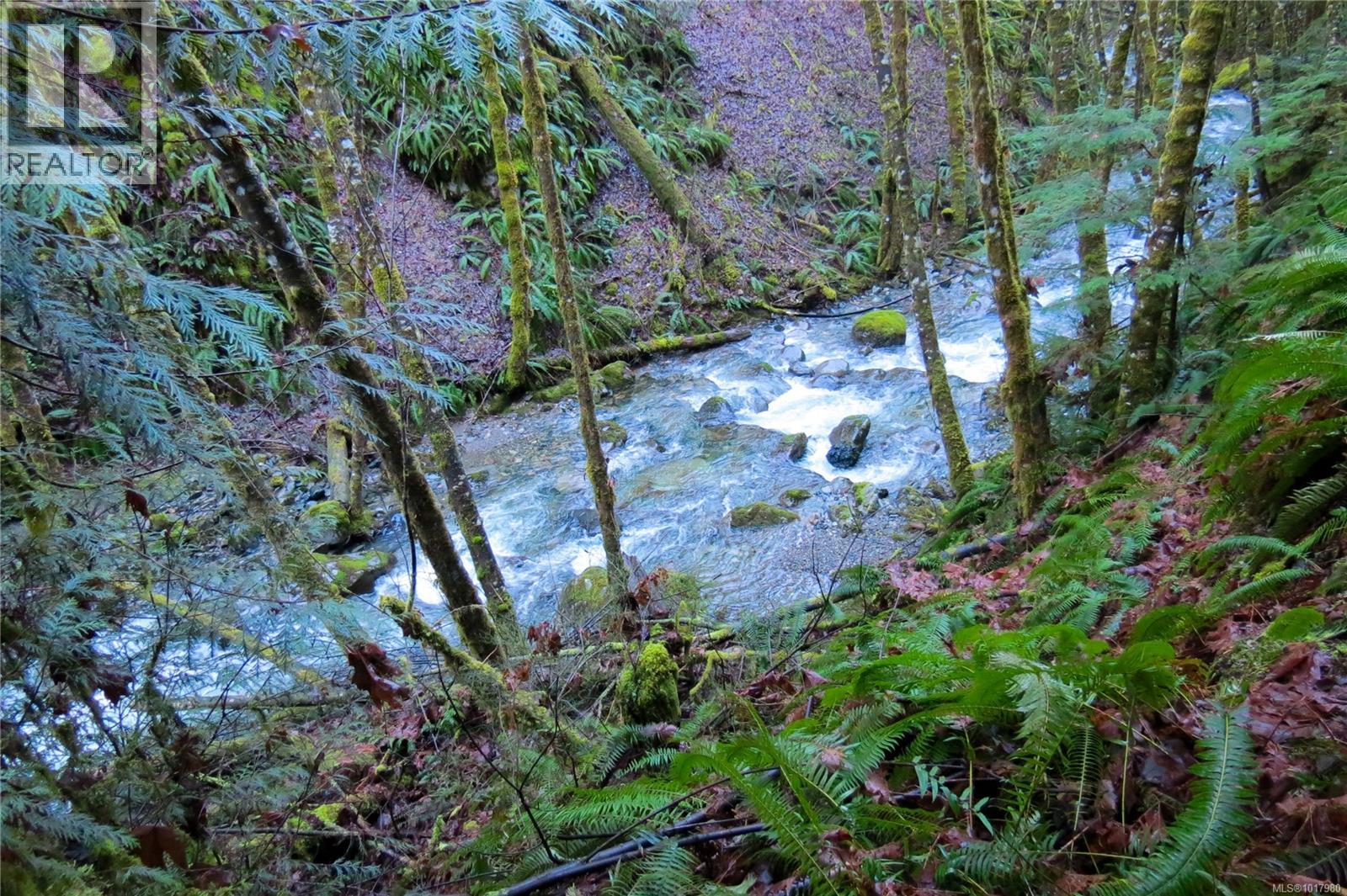 3550 Lakeshaw Rd, Cobble Hill, British Columbia  V9L 6N5 - Photo 5 - 1017980