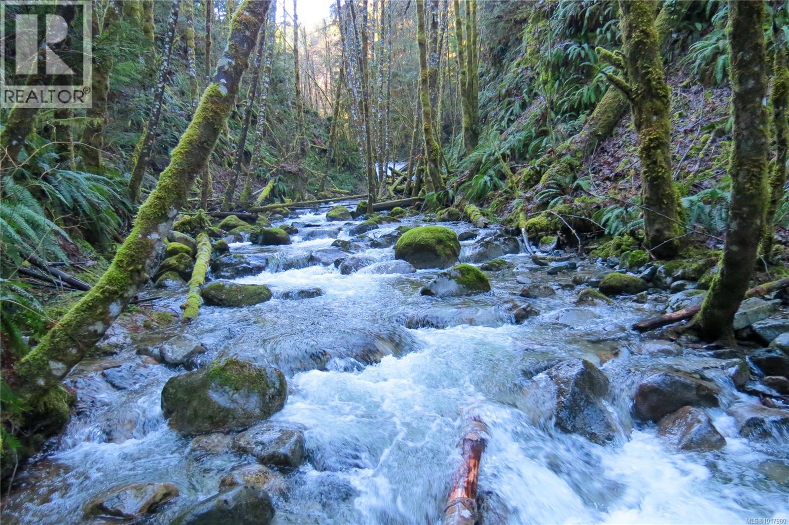 3550 Lakeshaw Rd, Cobble Hill, British Columbia  V9L 6N5 - Photo 51 - 1017980