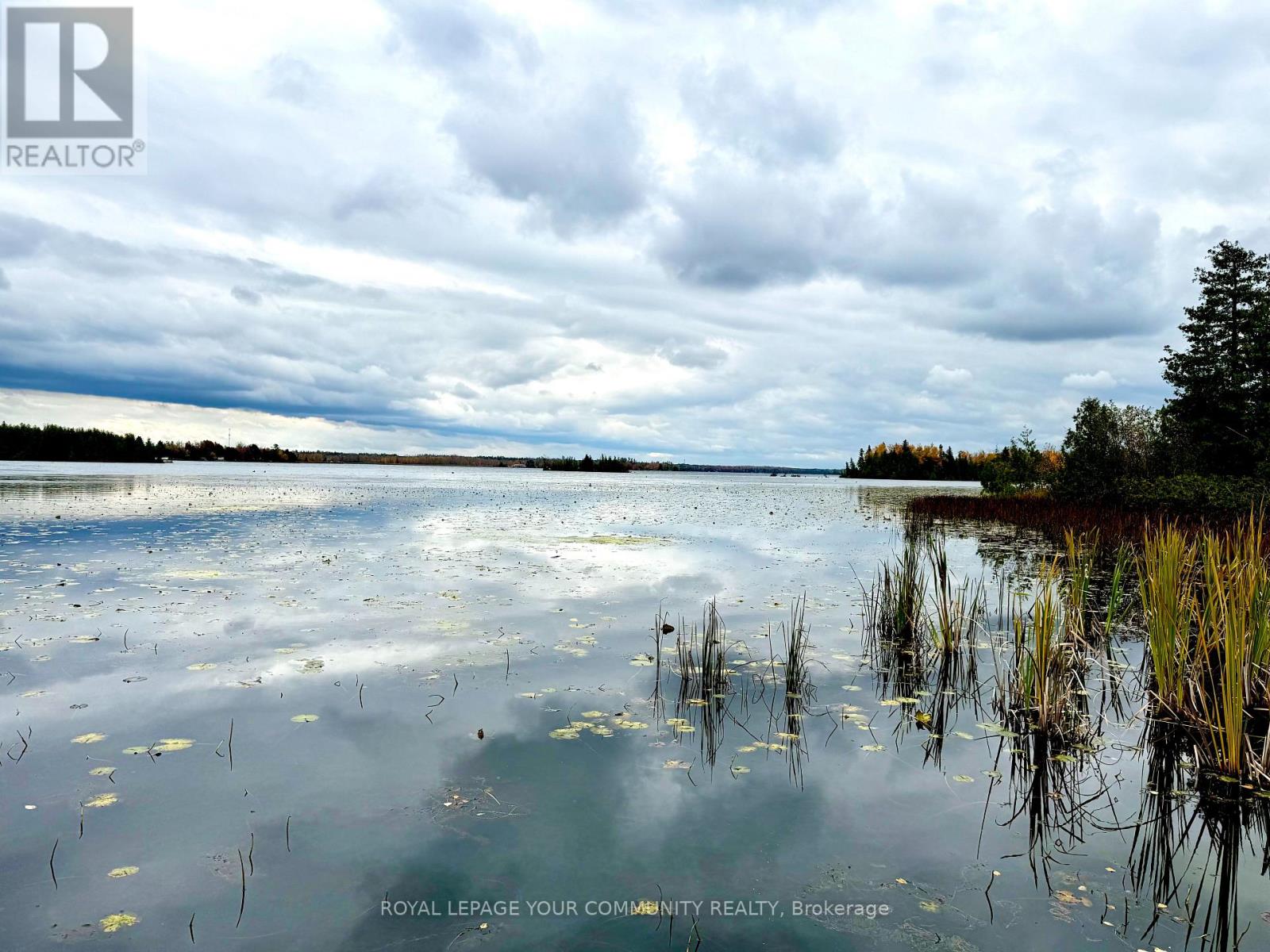 586 Rohallion Road, Kawartha Lakes, Ontario  L0K 1B0 - Photo 18 - X12556812