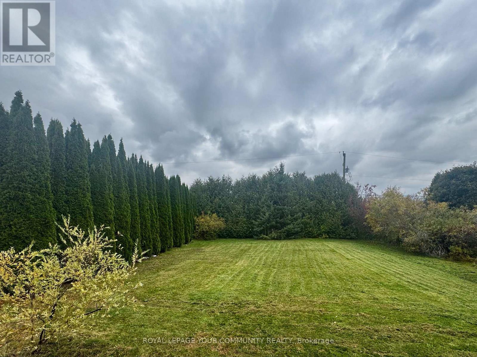 586 Rohallion Road, Kawartha Lakes, Ontario  L0K 1B0 - Photo 19 - X12556812