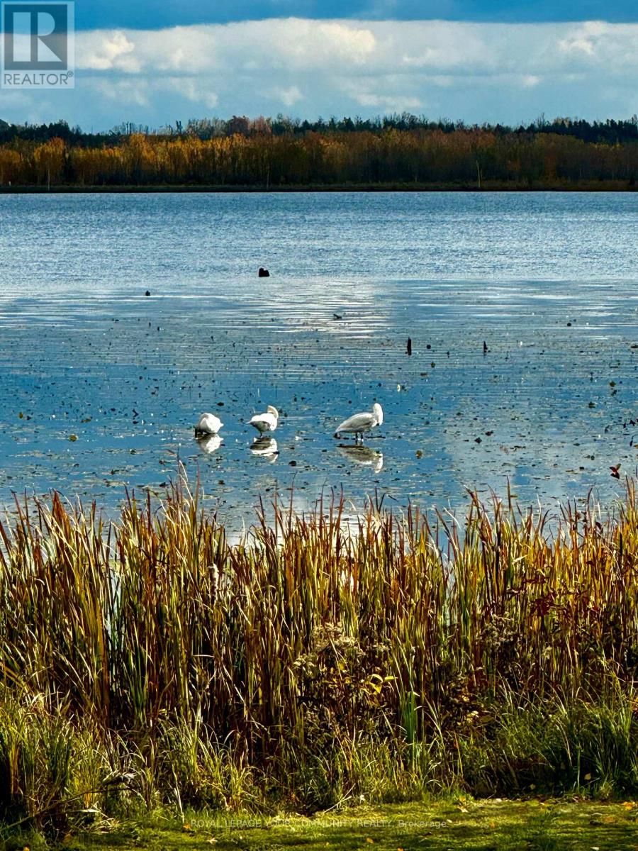 586 Rohallion Road, Kawartha Lakes, Ontario  L0K 1B0 - Photo 20 - X12556812