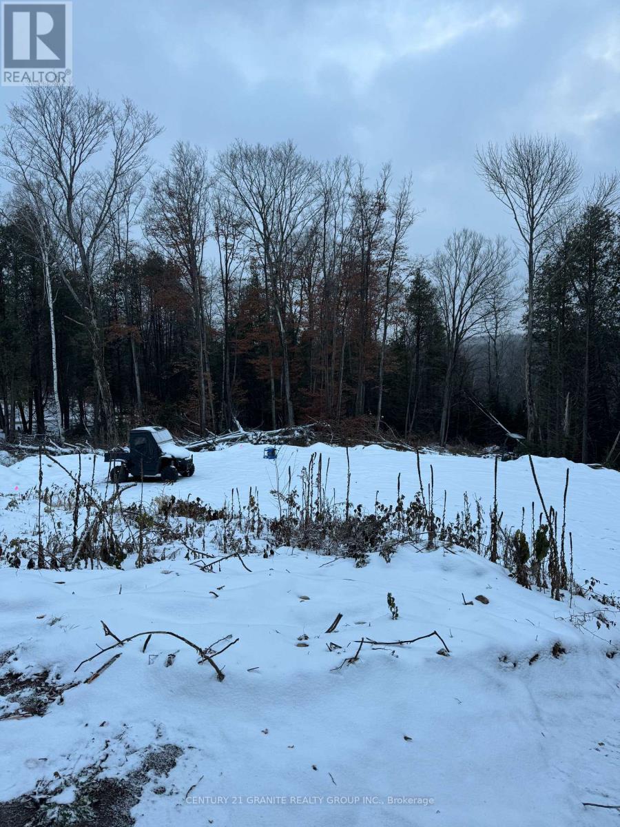 1827 Hybla Road, Hastings Highlands, Ontario K0L 1C0 - Photo 11 - X12554534