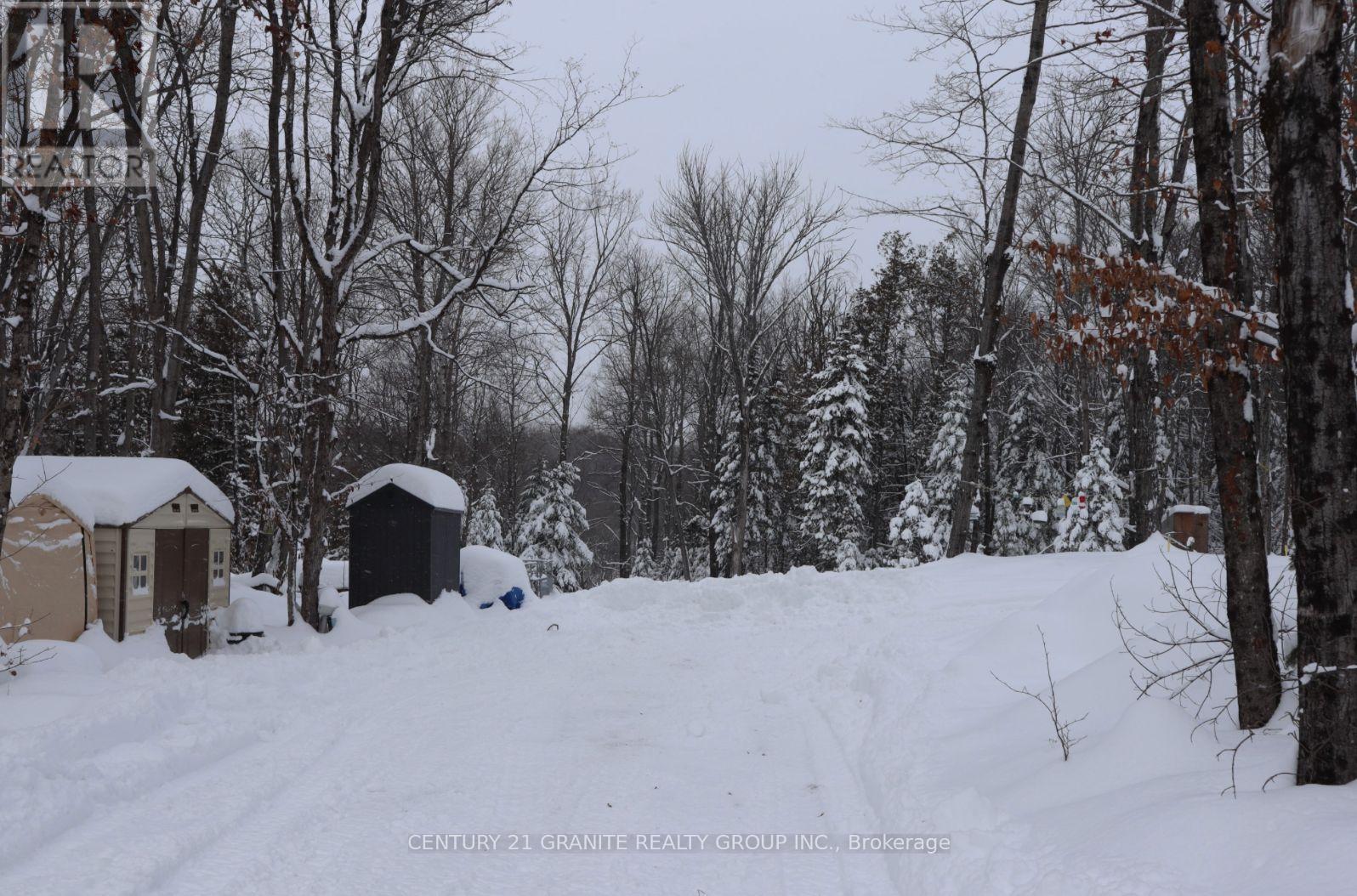 1827 Hybla Road, Hastings Highlands, Ontario K0L 1C0 - Photo 13 - X12554534