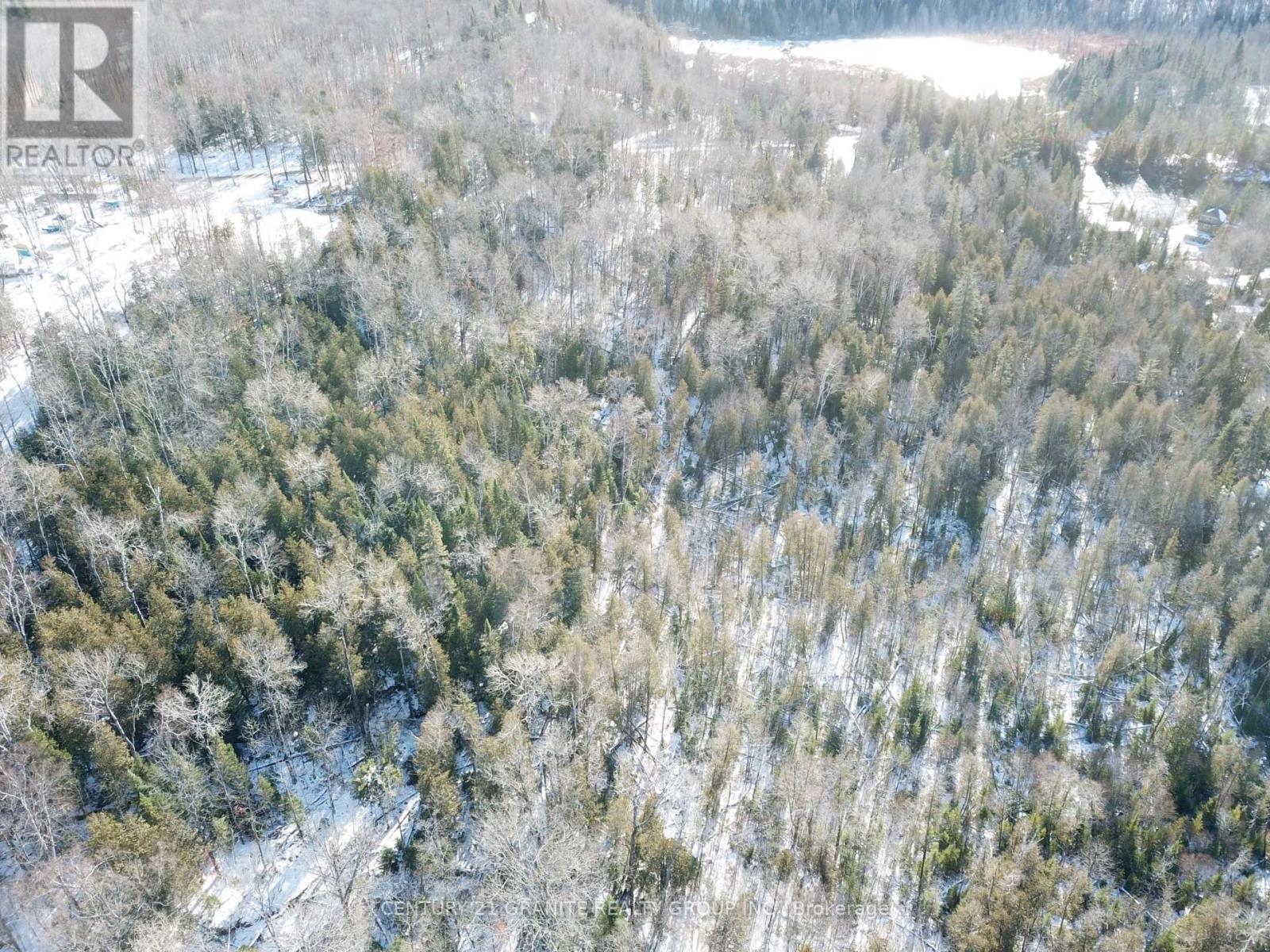 1827 Hybla Road, Hastings Highlands, Ontario K0L 1C0 - Photo 20 - X12554534