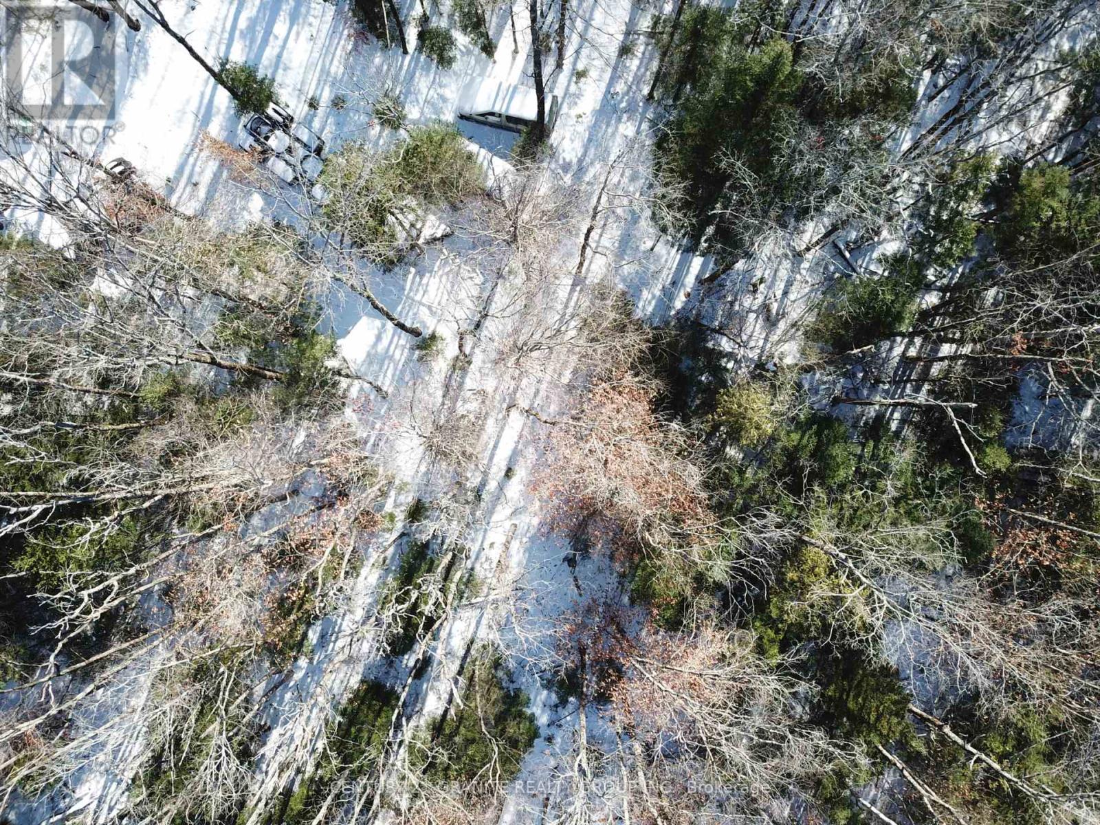 1827 Hybla Road, Hastings Highlands, Ontario K0L 1C0 - Photo 17 - X12554534