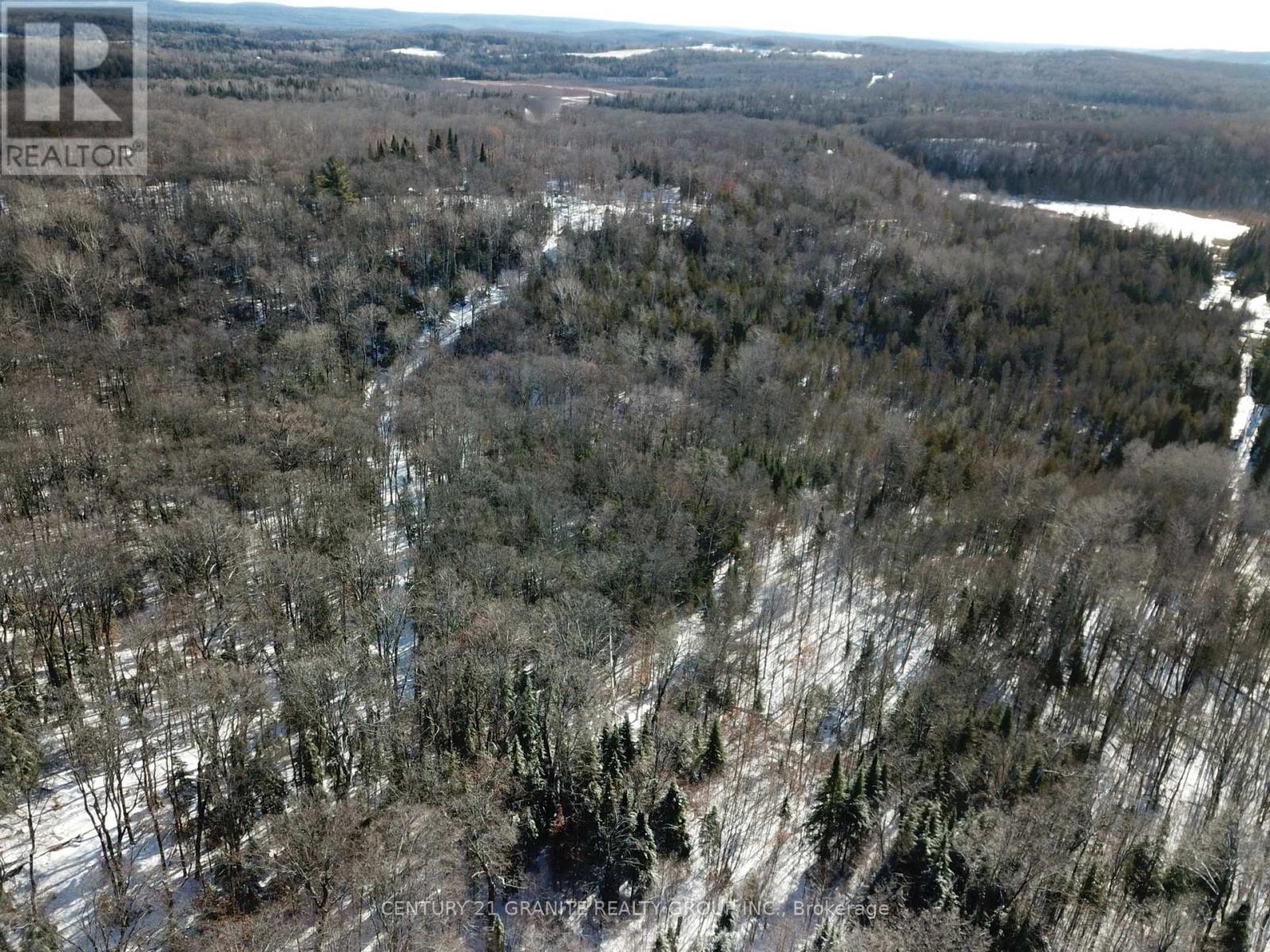 1827 Hybla Road, Hastings Highlands, Ontario K0L 1C0 - Photo 24 - X12554534