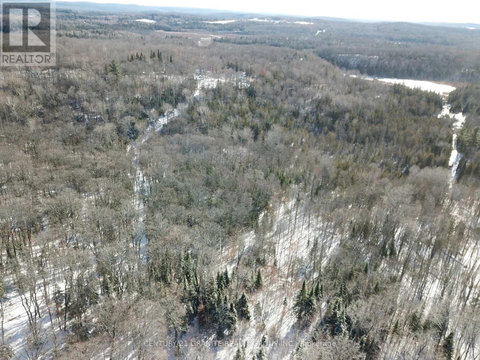 1827 Hybla Road, Hastings Highlands, Ontario K0L 1C0 - Photo 25 - X12554534