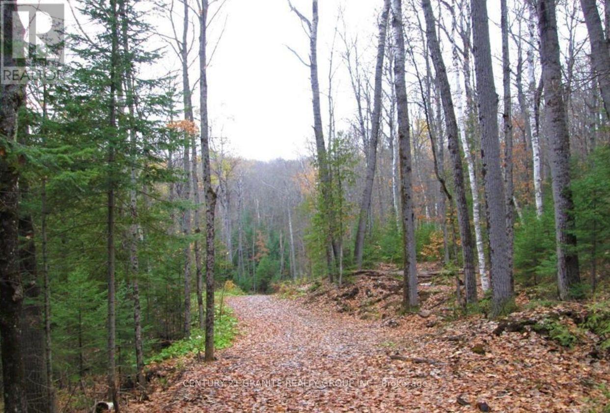 1827 Hybla Road, Hastings Highlands, Ontario K0L 1C0 - Photo 5 - X12554534