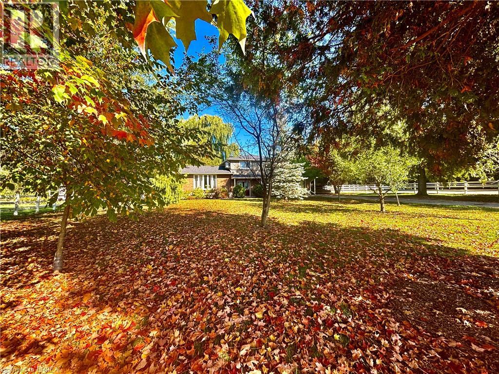 56 Fifth Concession Road, Burford, Ontario  N0A 1A0 - Photo 4 - 40734725