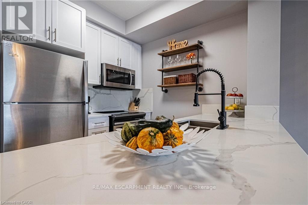 321 - 35 Southshore Crescent, Hamilton, Ontario  L8E 0J2 - Photo 5 - X12557034