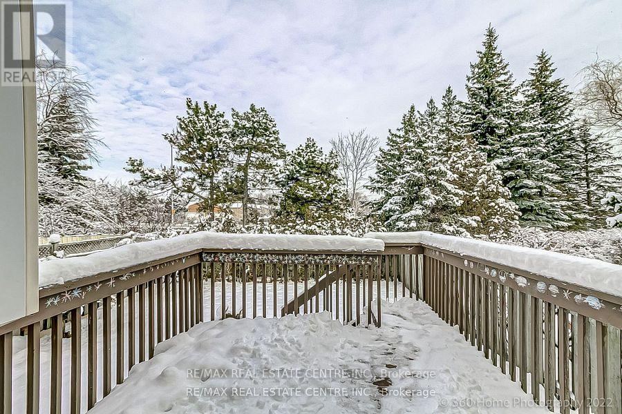 Bsmt - 4175 Trellis Crescent, Mississauga, Ontario  L5L 2M1 - Photo 25 - W12557162