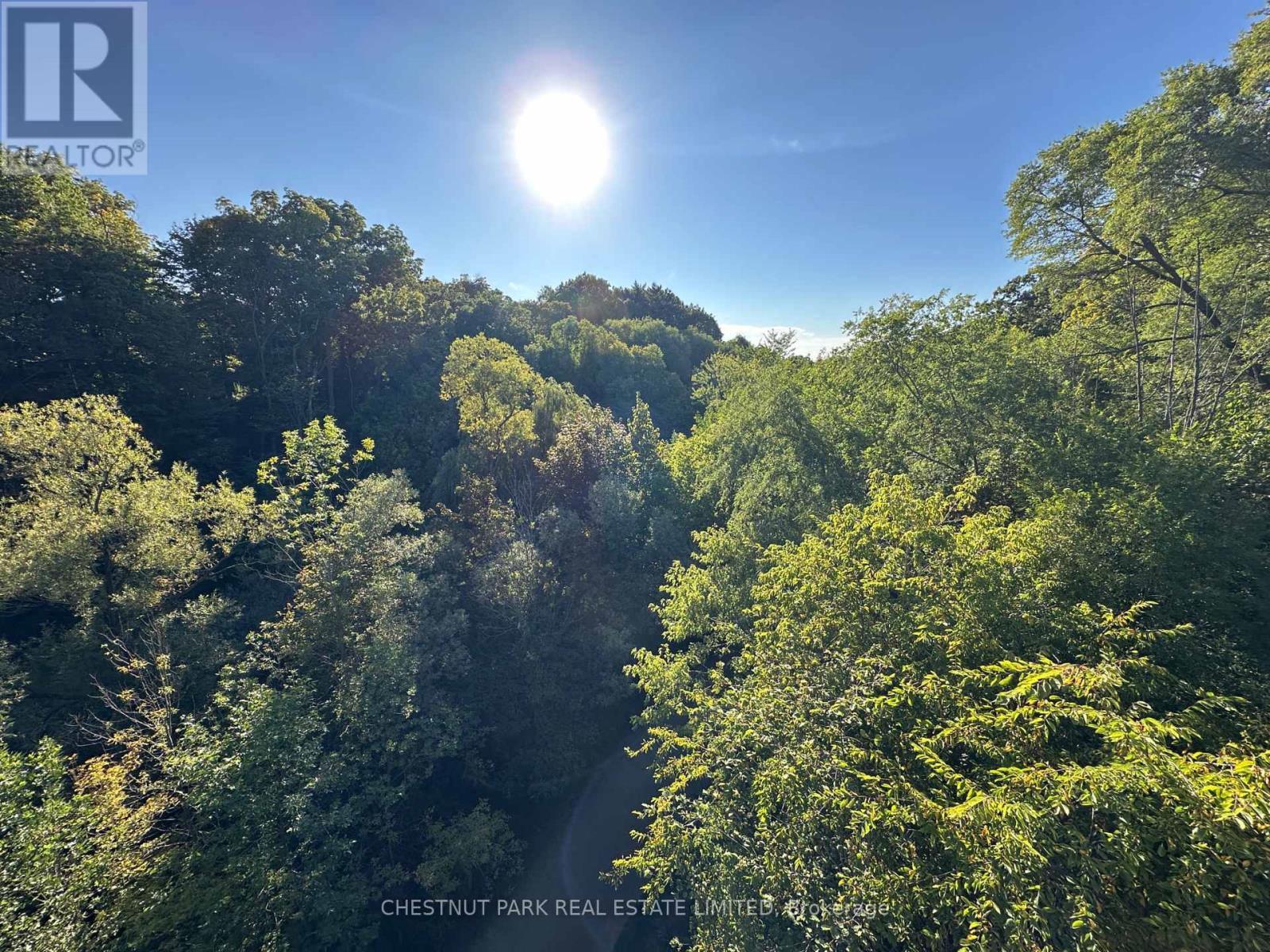 5 - 1648 Bathurst Street, Toronto, Ontario  M5P 3J7 - Photo 37 - C12557252