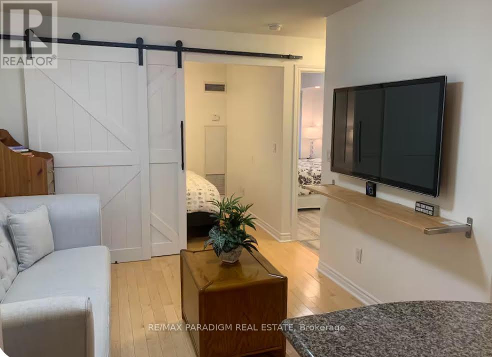 527 - 250 Wellington Street, Toronto, Ontario  M5V 3P6 - Photo 4 - C12557320