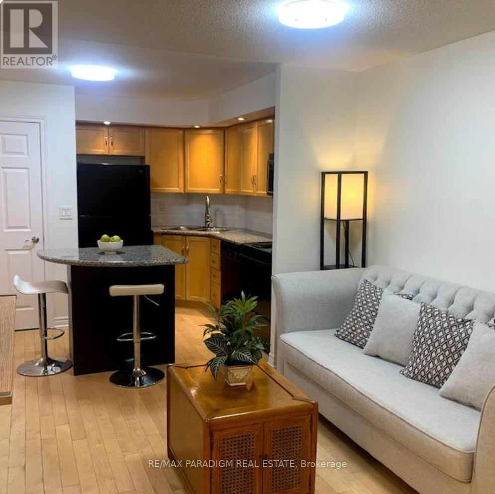 527 - 250 Wellington Street, Toronto, Ontario  M5V 3P6 - Photo 5 - C12557320