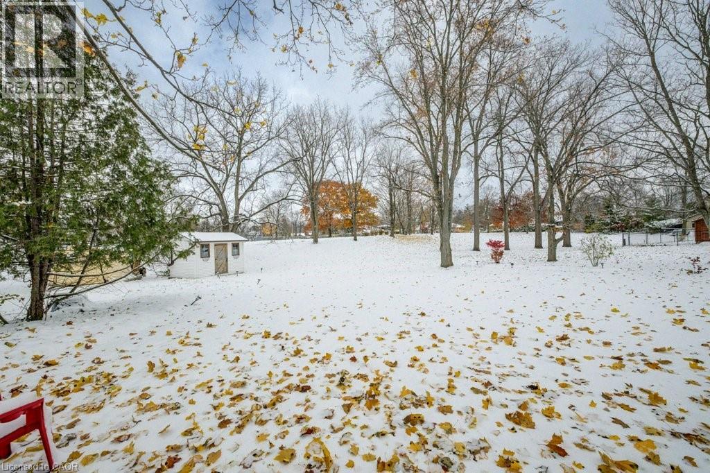 66 Water Street, Ayr, Ontario  N0B 1E0 - Photo 42 - 40787063