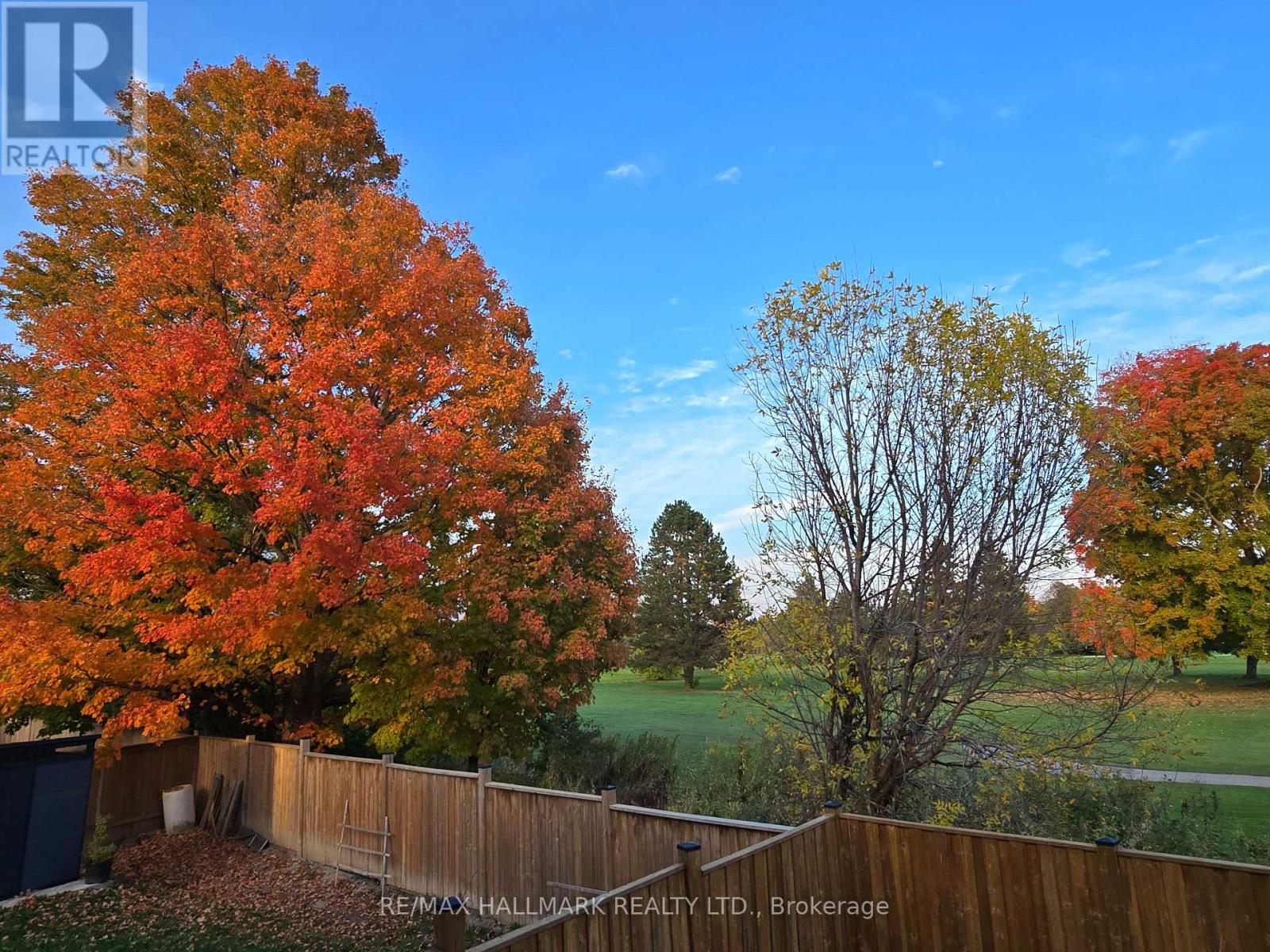 BASEMENT - 71 TITAN TRAIL, Markham, Ontario