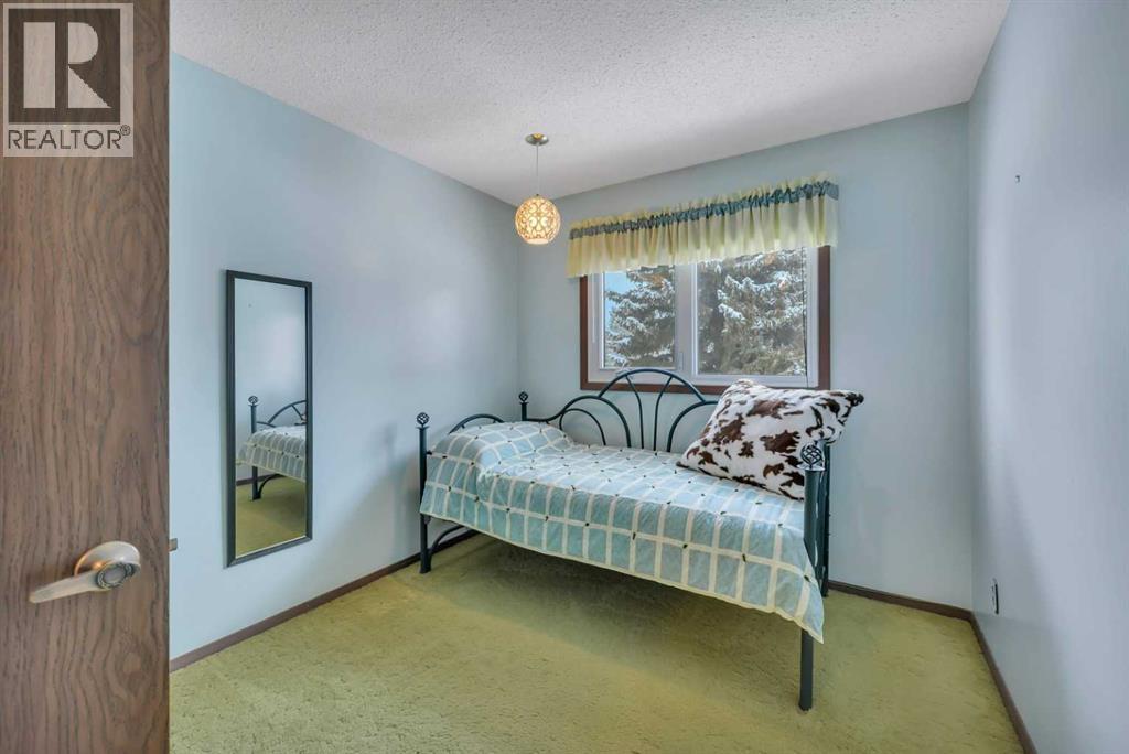 31 Baird Street, Red Deer, Alberta  T4R 1K5 - Photo 14 - A2269432