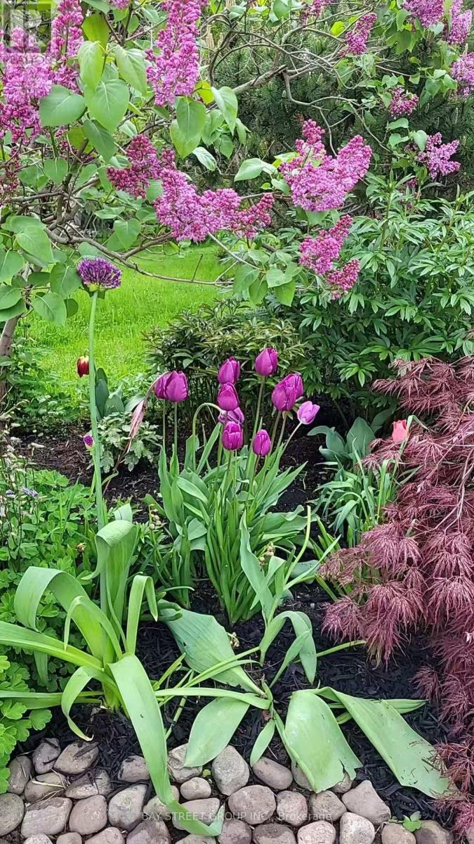 103 Glentworth Road, Toronto, Ontario  M2J 2E7 - Photo 2 - C12557438