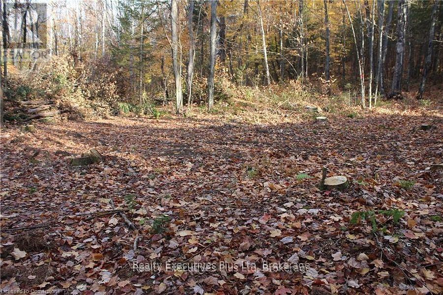 00 Ottawa Avenue, Machar, Ontario  P0A 1X0 - Photo 10 - X12557526