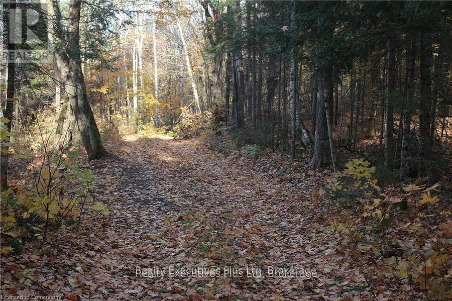 00 Ottawa Avenue, Machar, Ontario  P0A 1X0 - Photo 11 - X12557526