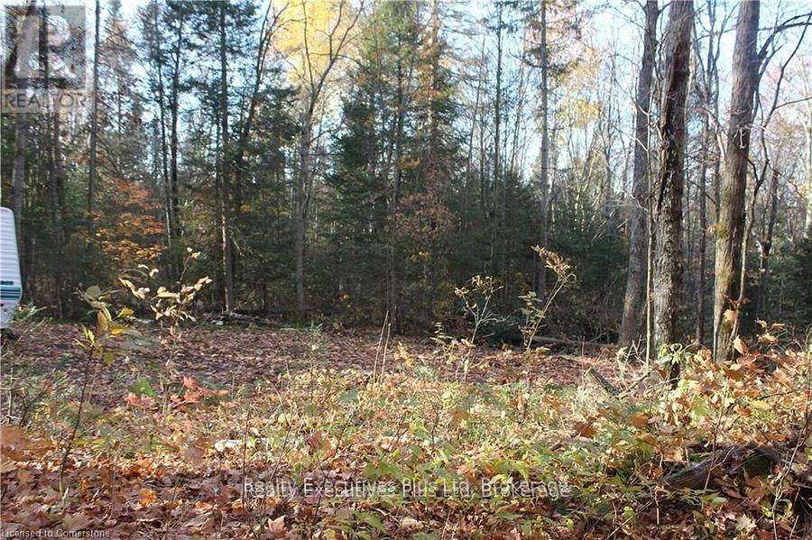 00 Ottawa Avenue, Machar, Ontario  P0A 1X0 - Photo 12 - X12557526