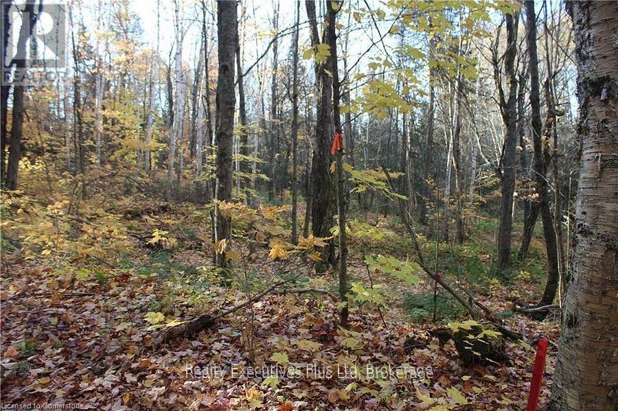 00 Ottawa Avenue, Machar, Ontario  P0A 1X0 - Photo 3 - X12557526