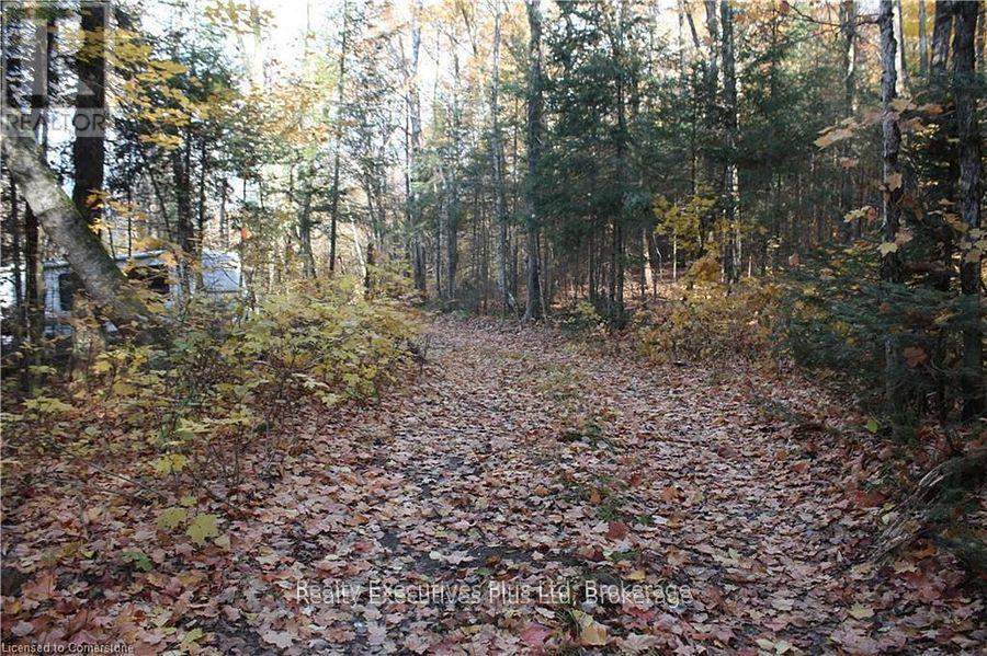 00 Ottawa Avenue, Machar, Ontario  P0A 1X0 - Photo 4 - X12557526