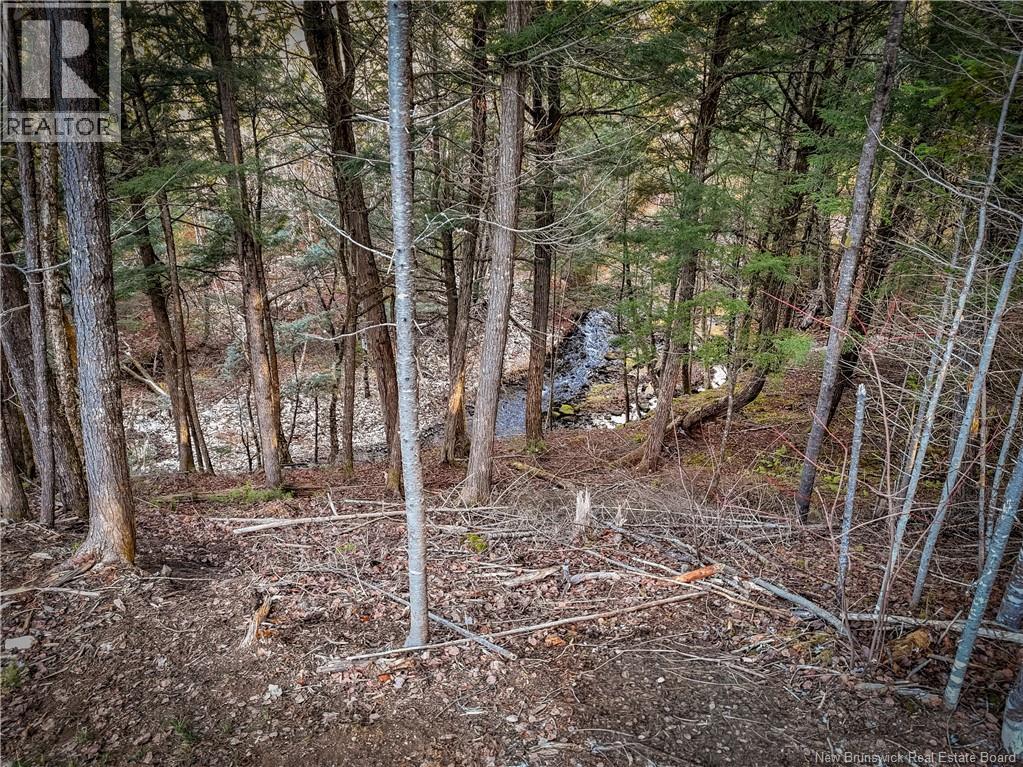 47 Lower Durham Road, Durham Bridge, New Brunswick  E6C 1J1 - Photo 21 - NB130303