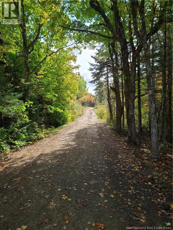 Lot Albert Mines, Albert Mines, New Brunswick  E4H 1R3 - Photo 4 - NB130043