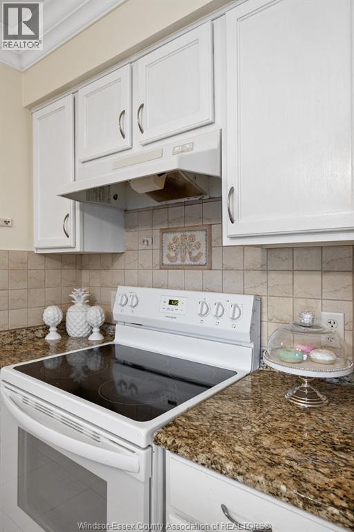 5000 Wyandotte Street East Unit# 309, Windsor, Ontario  N8Y 5B8 - Photo 14 - 25027937