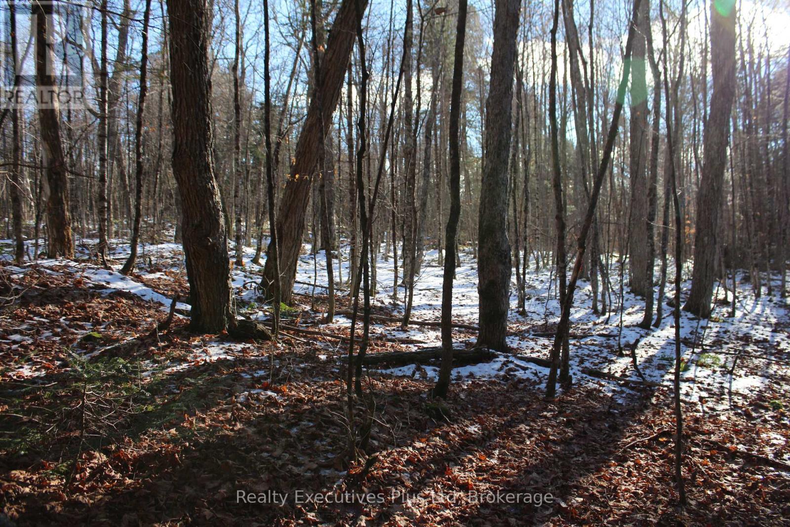 1898 Axe Lake Road, Mcmurrich/monteith, Ontario  P0A 1Y0 - Photo 24 - X12557680