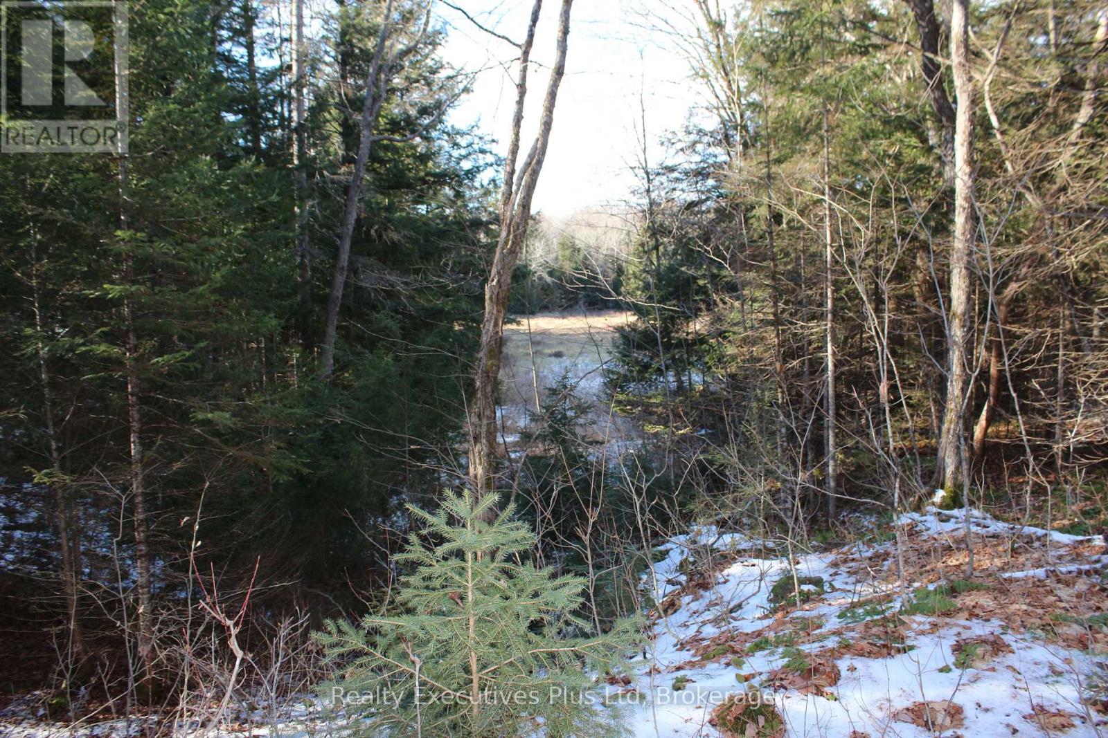 1898 Axe Lake Road, Mcmurrich/monteith, Ontario  P0A 1Y0 - Photo 25 - X12557680