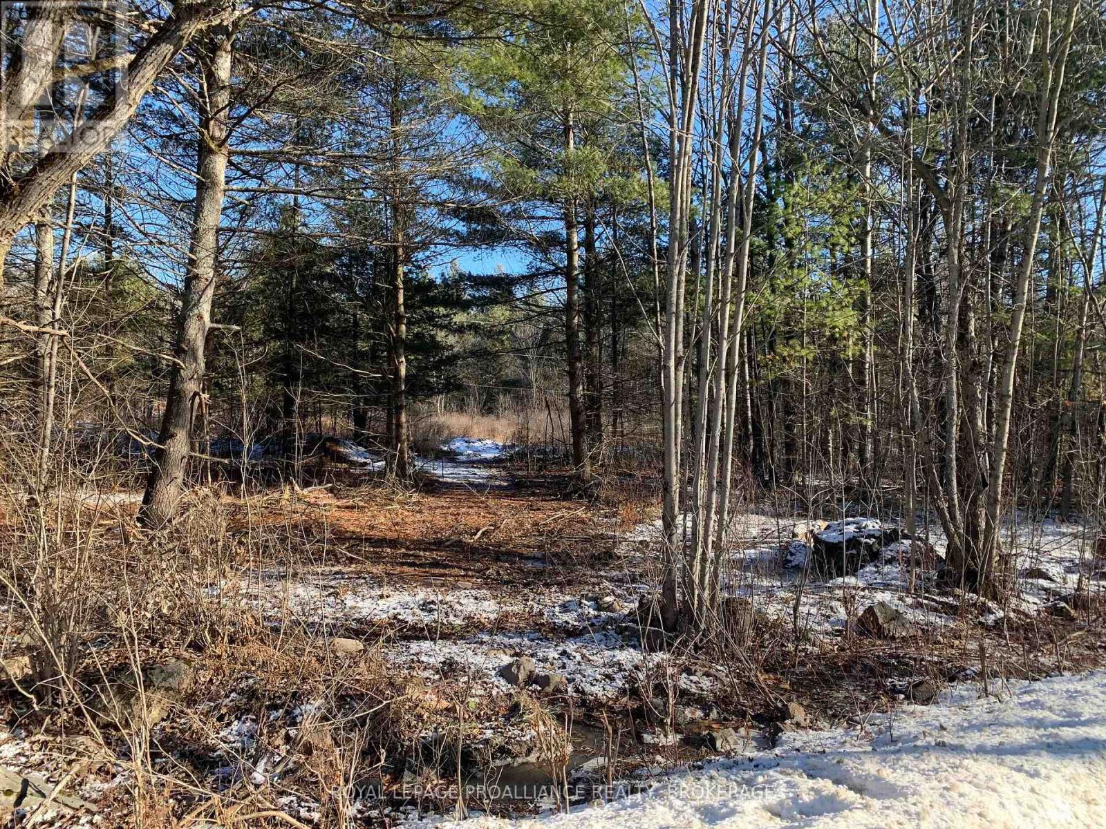 Lot 4 Leveque Road, South Frontenac, Ontario K0H 2W0 - Photo 3 - X12556574