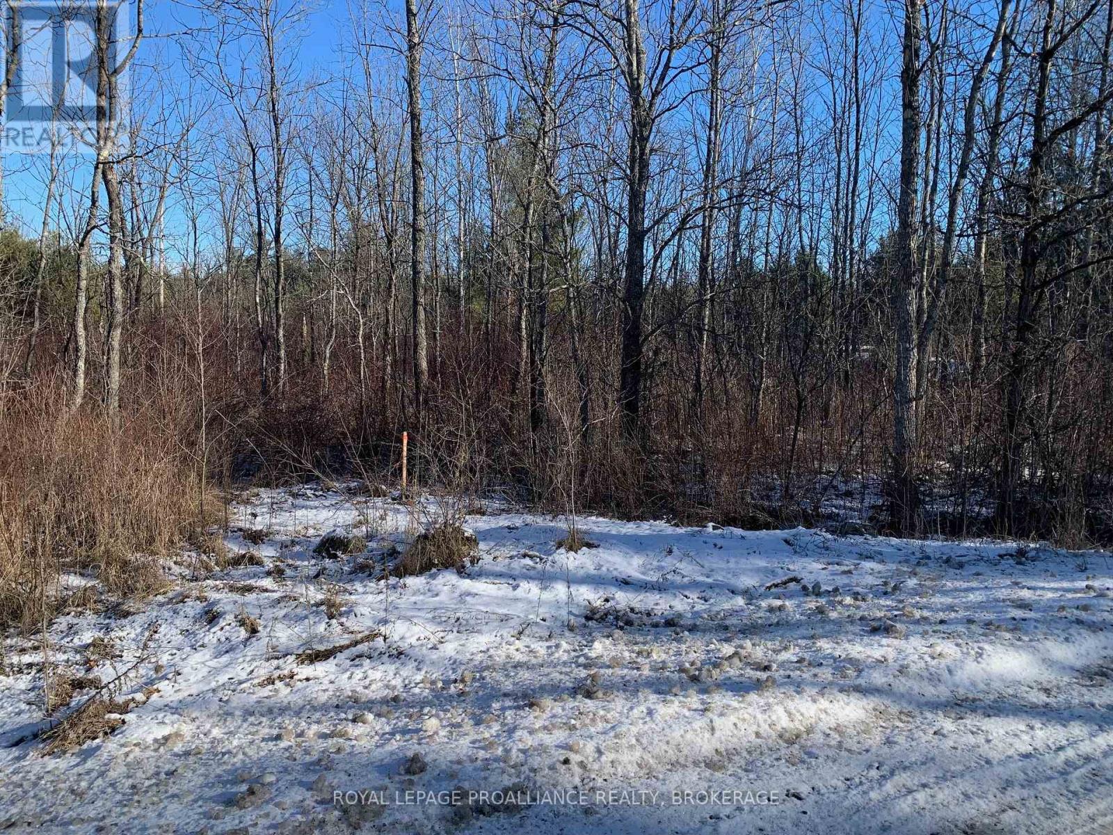 Lot 4 Leveque Road, South Frontenac, Ontario K0H 2W0 - Photo 4 - X12556574