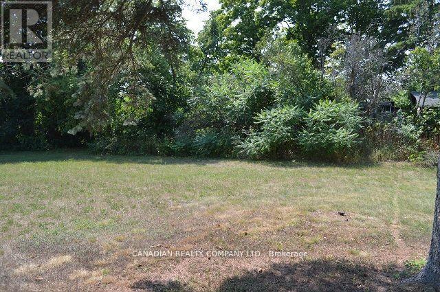 391 Raines Street, Georgina, Ontario  L4P 3C8 - Photo 30 - N12557752