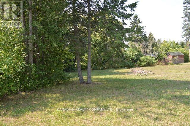 391 Raines Street, Georgina, Ontario  L4P 3C8 - Photo 31 - N12557752