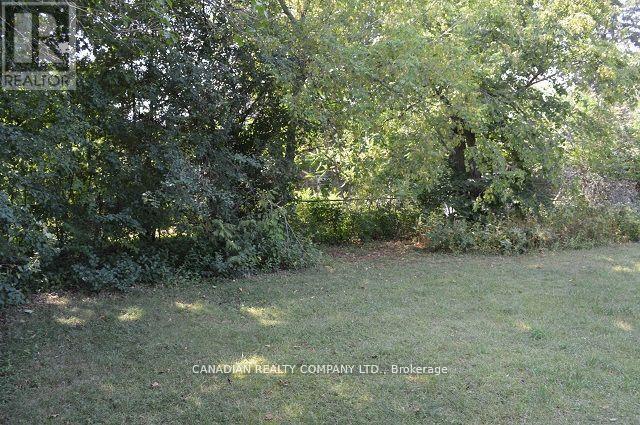 391 Raines Street, Georgina, Ontario  L4P 3C8 - Photo 35 - N12557752