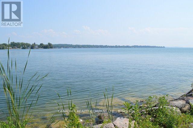 391 Raines Street, Georgina, Ontario  L4P 3C8 - Photo 41 - N12557752