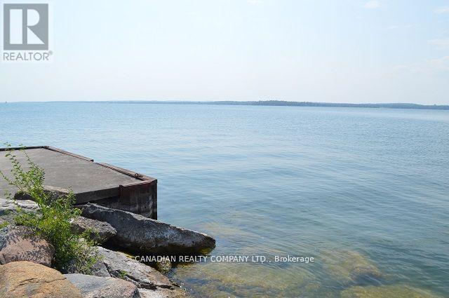 391 Raines Street, Georgina, Ontario  L4P 3C8 - Photo 43 - N12557752