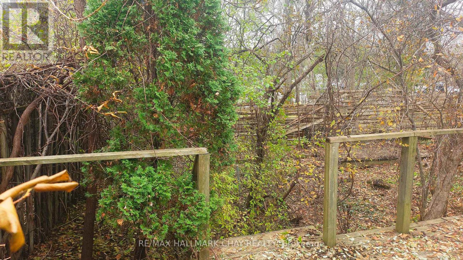 2207 King Road, King, Ontario L7B 1A6 - Photo 38 - N12557850