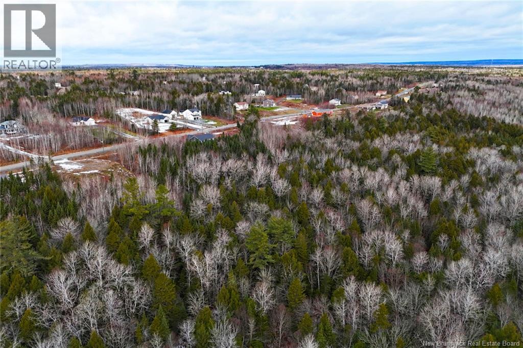 134 Leeland Way, Fredericton, New Brunswick  E3A 0H4 - Photo 5 - NB130354