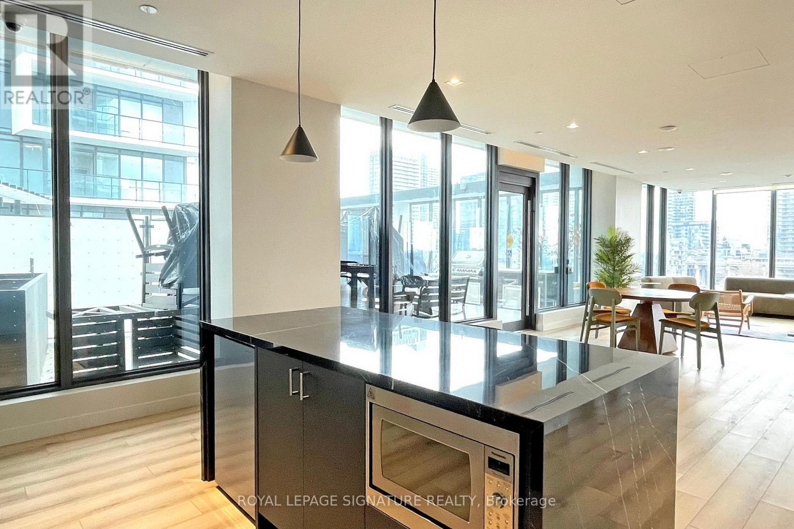 607 - 9 Tecumseth Street, Toronto, Ontario  M5V 0S5 - Photo 29 - C12558110