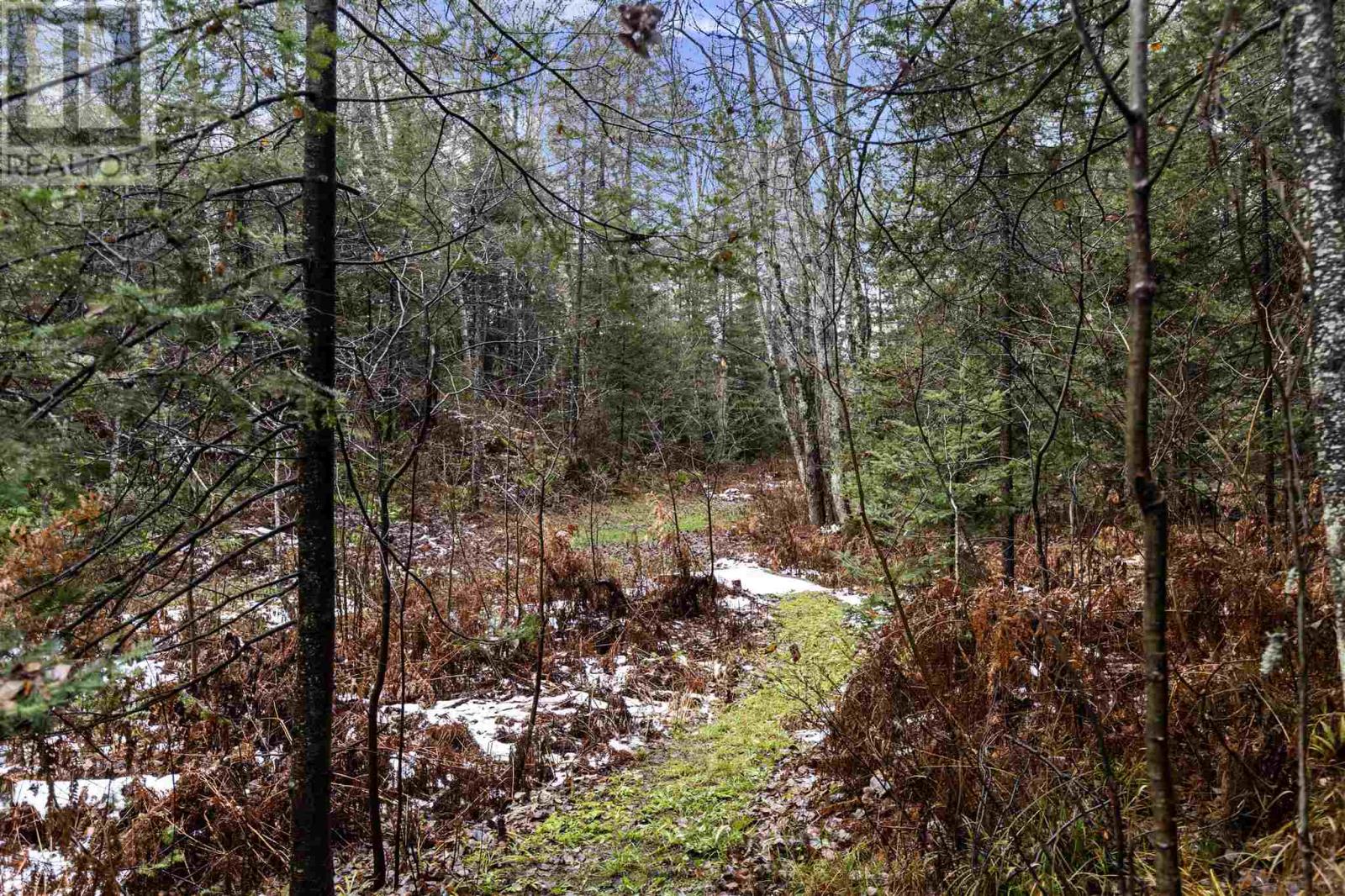 1370 Airport Rd, Prince Townshi, Ontario P6A 6K4 - Photo 48 - SM253277