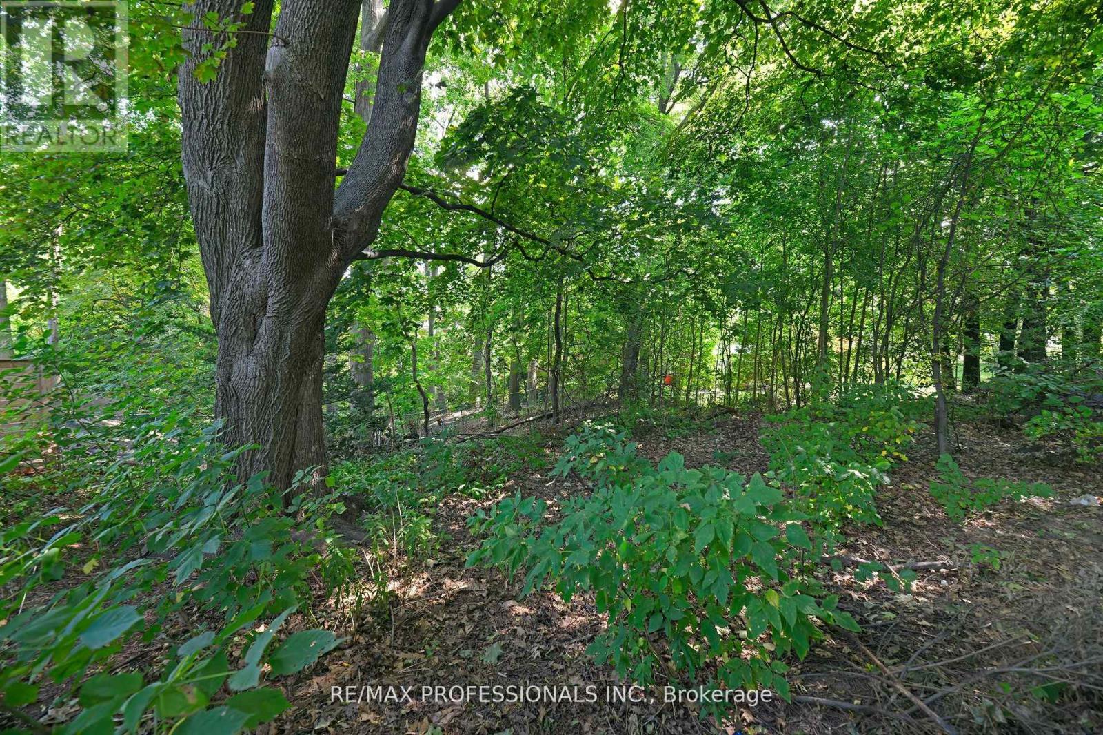 1161 Royal York Road, Toronto, Ontario  M9A 4B2 - Photo 25 - W12557870