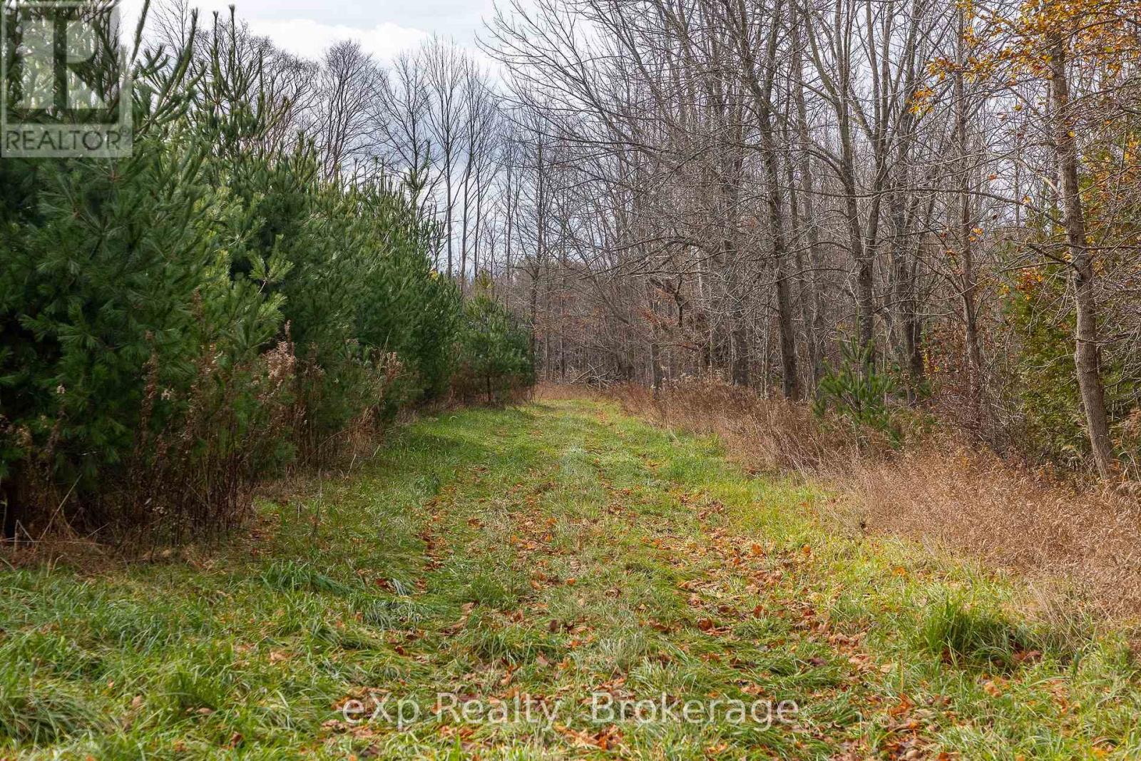 83 C Line Road, South Bruce Peninsula, Ontario  N0H 1A0 - Photo 18 - X12553764