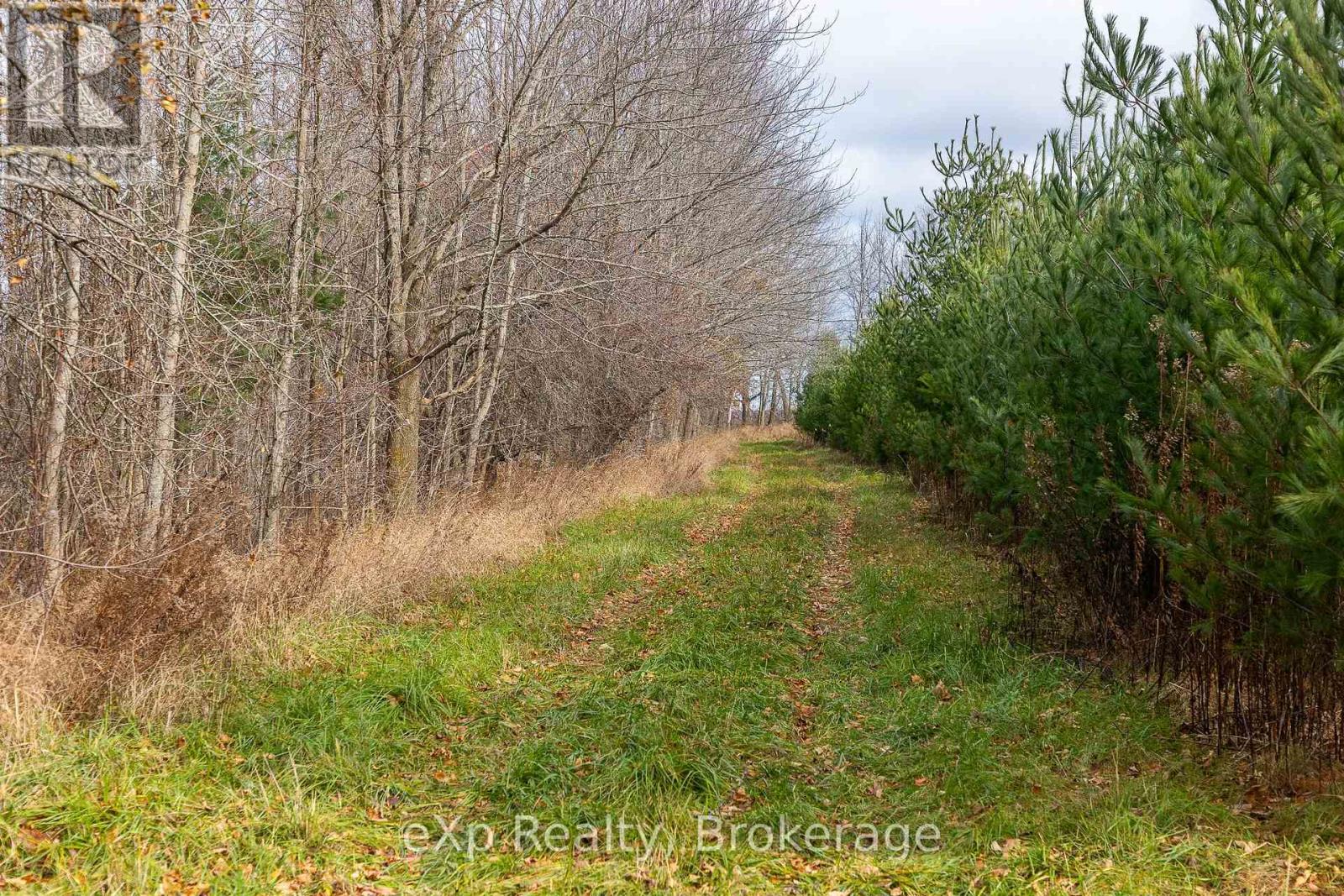 83 C Line Road, South Bruce Peninsula, Ontario  N0H 1A0 - Photo 17 - X12553764