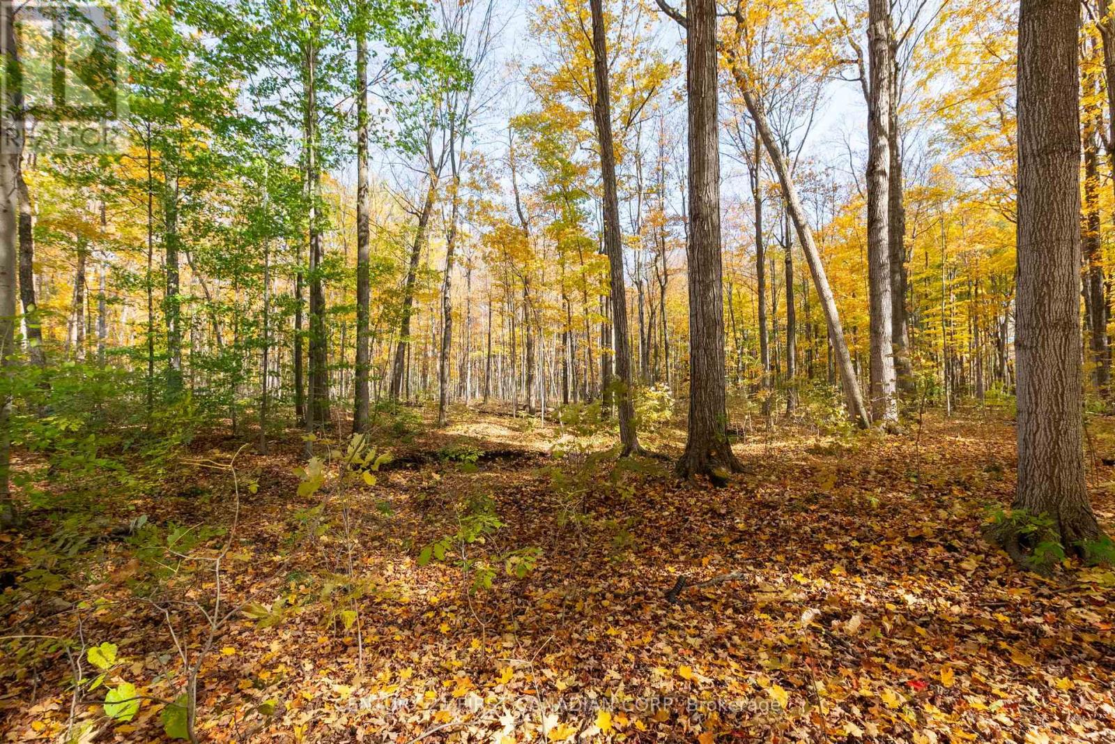 10771 Melrose Drive, Middlesex Centre, Ontario  N0L 1R0 - Photo 10 - X12553786