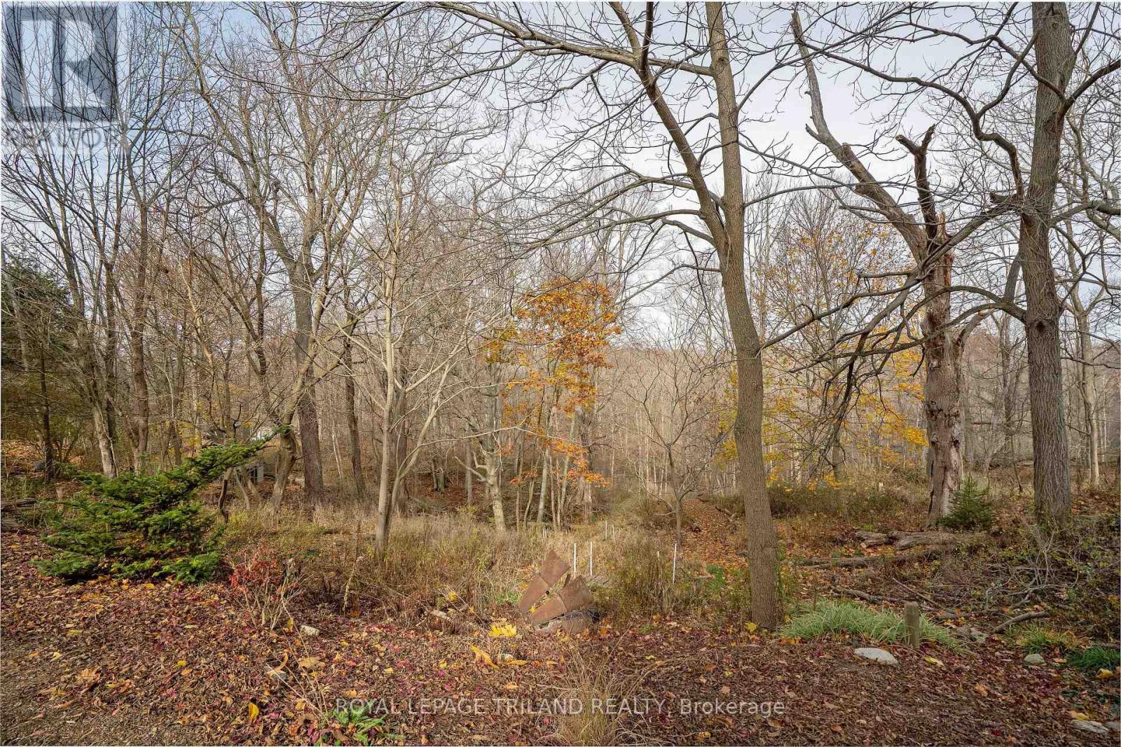 495 George Street, Central Elgin, Ontario  N5L 1H1 - Photo 14 - X12558304