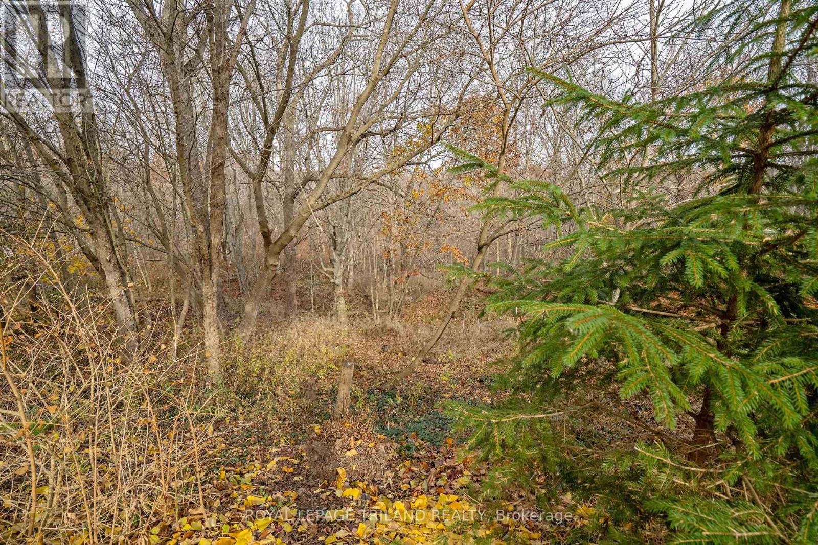 495 George Street, Central Elgin, Ontario  N5L 1H1 - Photo 15 - X12558304